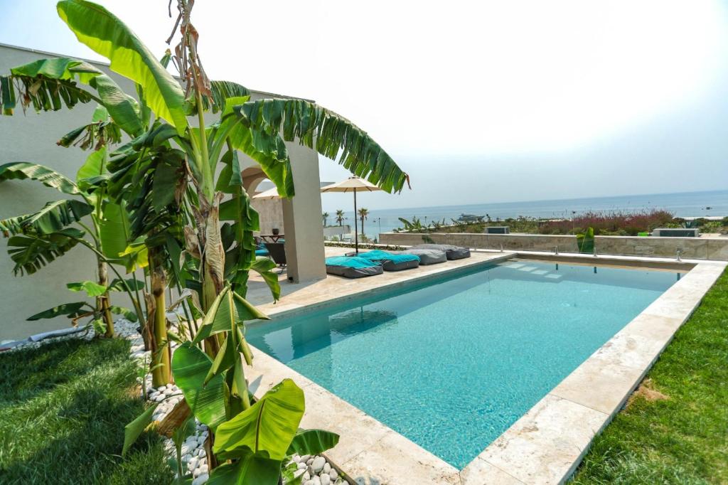 Drymades Inn Resort the pool outside with the ocean on the background