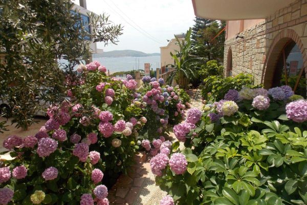 Hotel Piccolino in Sarande the garden of the hotel